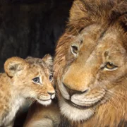 Mufasa: Król Lew - galeria zdjęć - filmweb