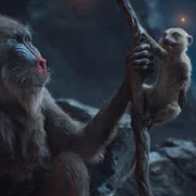 Mufasa: Król Lew - galeria zdjęć - filmweb