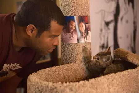 Keanu - galeria zdjęć - filmweb