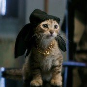 Keanu - galeria zdjęć - filmweb
