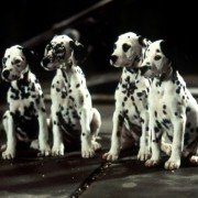 101 Dalmatians - galeria zdjęć - filmweb