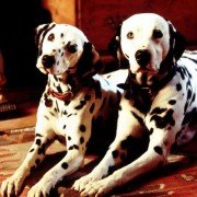 101 Dalmatians - galeria zdjęć - filmweb