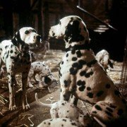 101 Dalmatians - galeria zdjęć - filmweb