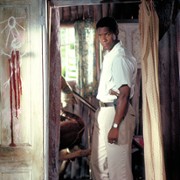 Gliniarz na Karaibach - galeria zdjęć - filmweb