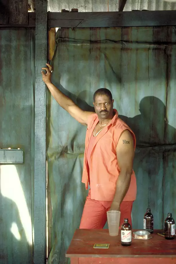 Gliniarz na Karaibach - galeria zdjęć - filmweb