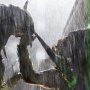 Obcy kontra Predator 2 - galeria zdjęć