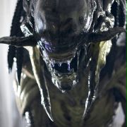 Obcy kontra Predator 2 - galeria zdjęć - filmweb