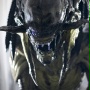 Obcy kontra Predator 2 - galeria zdjęć