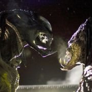 Obcy kontra Predator 2 - galeria zdjęć - filmweb