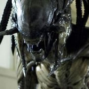 AVPR: Aliens vs Predator - Requiem - galeria zdjęć - filmweb