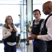 The Rookie: Feds - galeria zdjęć - filmweb
