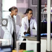 The Rookie: Feds - galeria zdjęć - filmweb