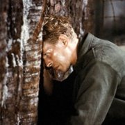 Wesołych świąt, pułkowniku Lawrence - galeria zdjęć - filmweb