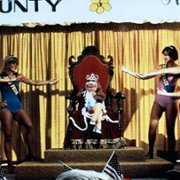 The Muppet Movie - galeria zdjęć - filmweb