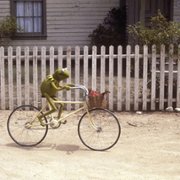 The Muppet Movie - galeria zdjęć - filmweb