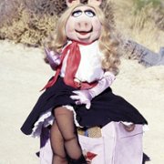 The Muppet Movie - galeria zdjęć - filmweb