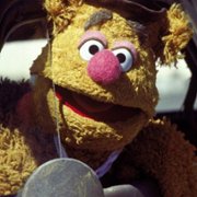 The Muppet Movie - galeria zdjęć - filmweb