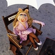 The Muppet Movie - galeria zdjęć - filmweb