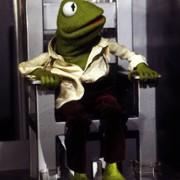 The Muppet Movie - galeria zdjęć - filmweb