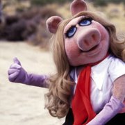 The Muppet Movie - galeria zdjęć - filmweb