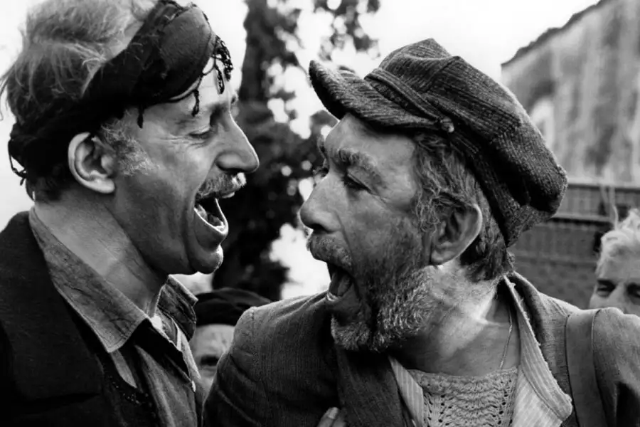 Grek Zorba - galeria zdjęć - filmweb
