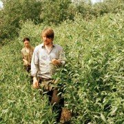 Delta - galeria zdjęć - filmweb