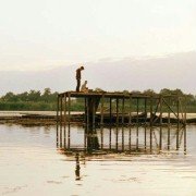 Delta - galeria zdjęć - filmweb