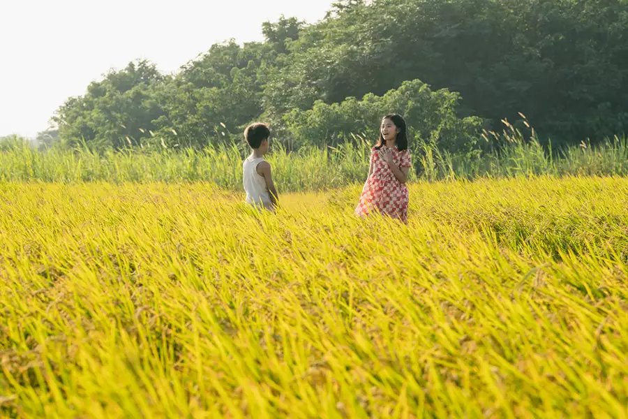 Tigertail - galeria zdjęć - filmweb
