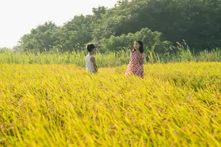 Tigertail - galeria zdjęć - filmweb