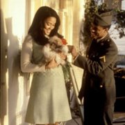 Miłość jest dla głupców - galeria zdjęć - filmweb