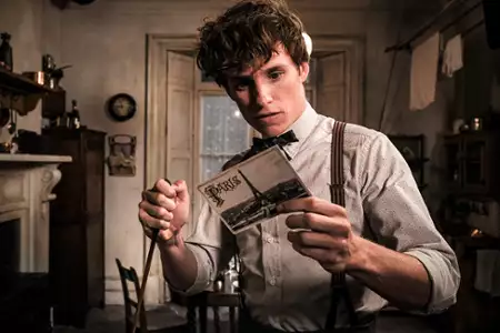 Fantastyczne zwierzęta: Zbrodnie Grindelwalda - galeria zdjęć - filmweb