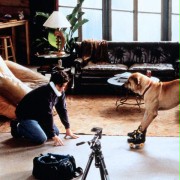 The Truth About Cats & Dogs - galeria zdjęć - filmweb