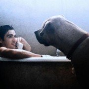 The Truth About Cats & Dogs - galeria zdjęć - filmweb