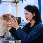 The Truth About Cats & Dogs - galeria zdjęć - filmweb