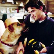 The Truth About Cats & Dogs - galeria zdjęć - filmweb