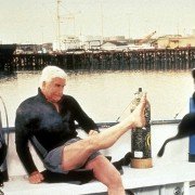 Naga broń 2 1/2: Kto obroni prezydenta? - galeria zdjęć - filmweb