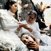 Piknik pod Wiszącą Skałą - galeria zdjęć - filmweb