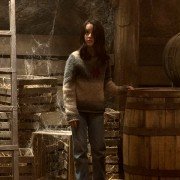 Nawiedzony dom na wzgórzu - galeria zdjęć - filmweb