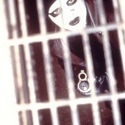 Dead Presidents - galeria zdjęć - filmweb