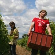 2 młode wina - galeria zdjęć - filmweb
