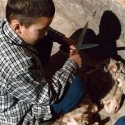 Melancholian 3 huonetta - galeria zdjęć - filmweb