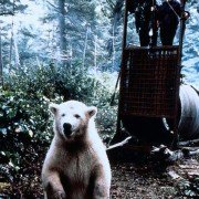 Przygoda na Alasce - galeria zdjęć - filmweb