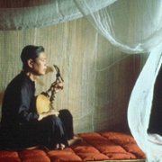 Zapach zielonej papai - galeria zdjęć - filmweb