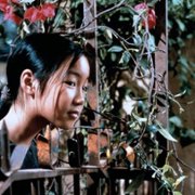 Zapach zielonej papai - galeria zdjęć - filmweb