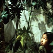 Zapach zielonej papai - galeria zdjęć - filmweb