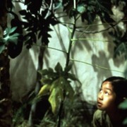 Zapach zielonej papai - galeria zdjęć - filmweb