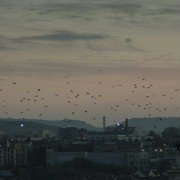 2 noce do rana - galeria zdjęć - filmweb