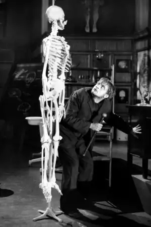 Frankenstein - galeria zdjęć - filmweb
