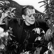 Frankenstein - galeria zdjęć - filmweb