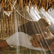 The Blue Lagoon - galeria zdjęć - filmweb